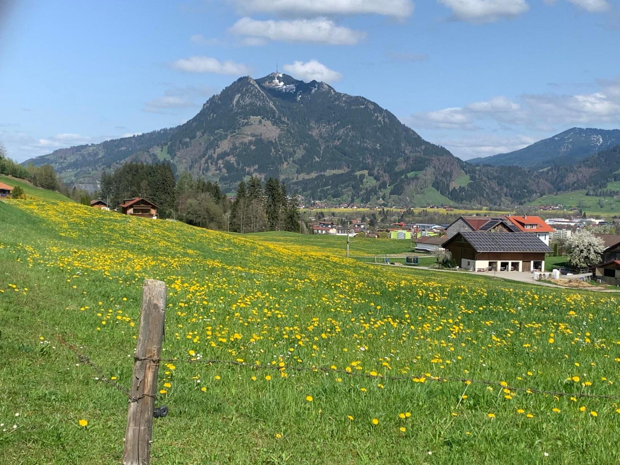 Ferienwohnungen Probst Ofterschwang Extérieur photo