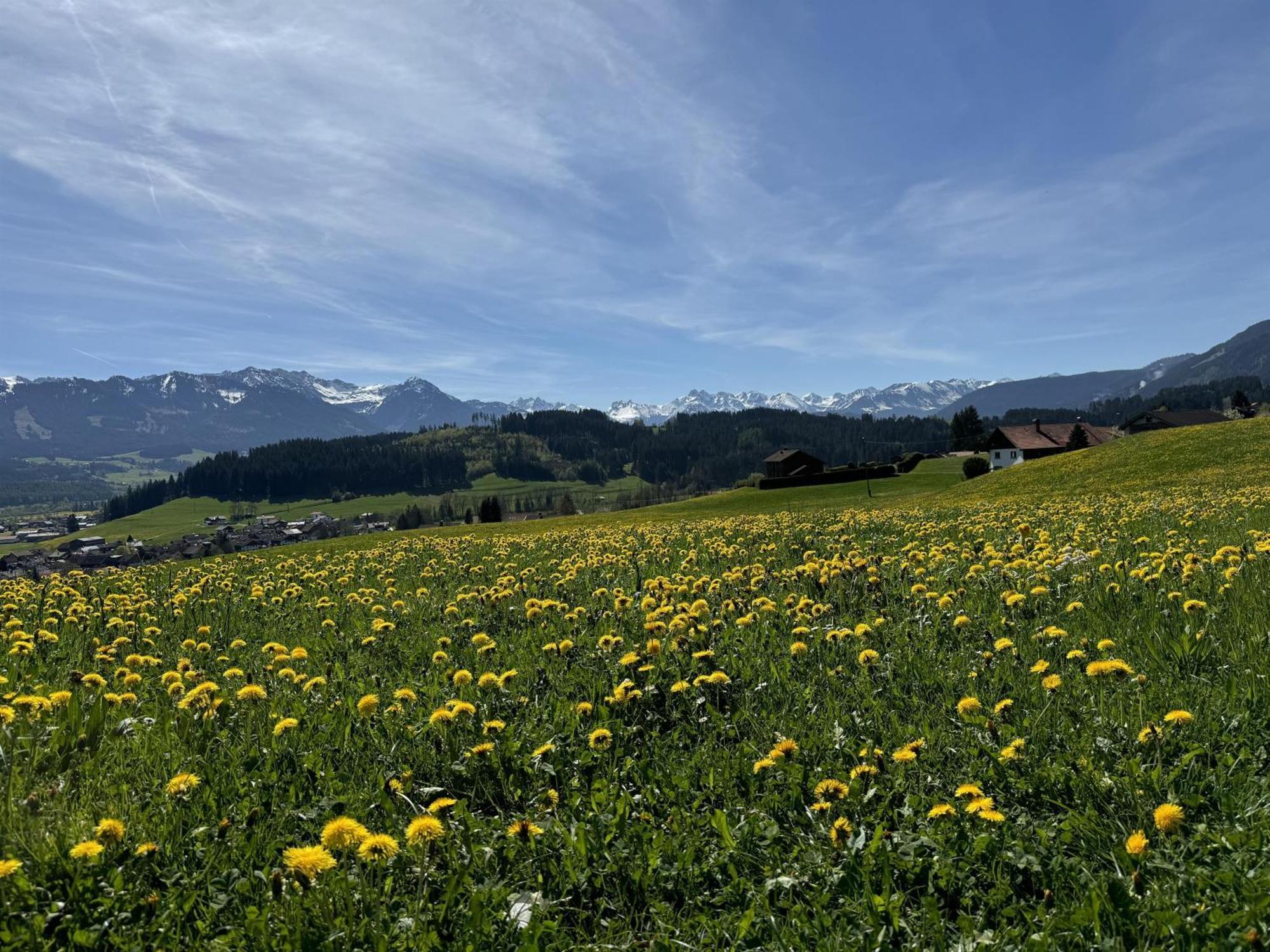 Ferienwohnungen Probst Ofterschwang Extérieur photo