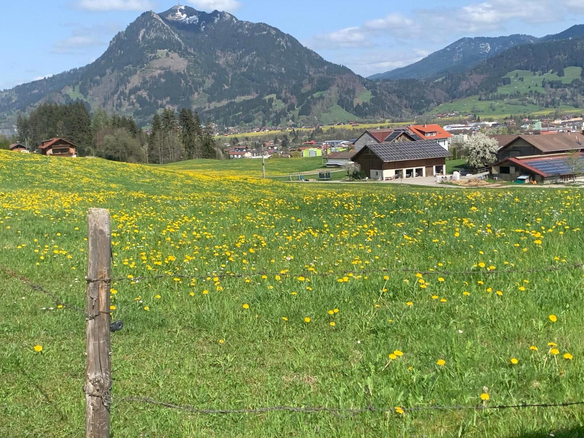 Ferienwohnungen Probst Ofterschwang Extérieur photo